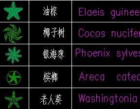 热带植物图例