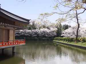 走进日本-了解日本的园林文化 - 建筑技术