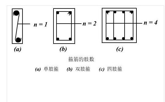 箍筋肢数如何看