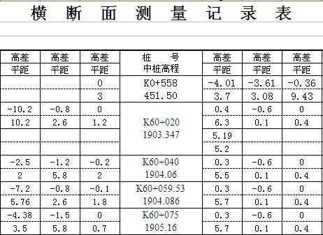 横断面测量记录表