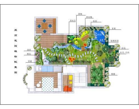 屋顶花园植物配置彩平图纸