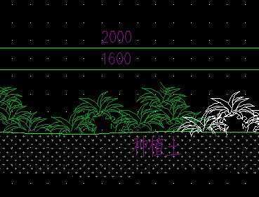 草坪种植区剖面详图