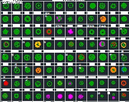 植物平面图例