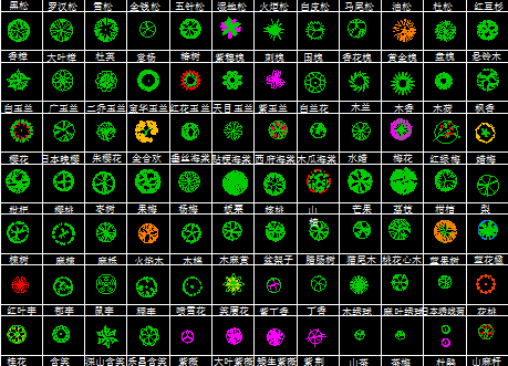 数百种cad平面树图例免费下载 - 园林景观素材 - 土木工程网