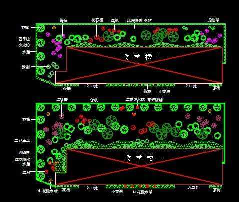 教学楼绿化布置平面图